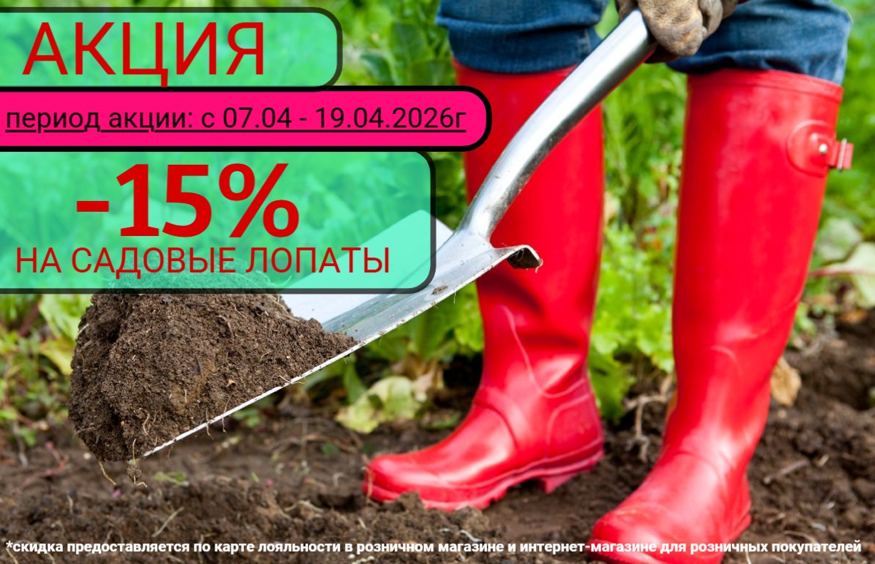 АКЦИЯ НА САДОВЫЕ ЛОПАТЫ АКЦИЯ НА САДОВЫЕ ЛОПАТЫ